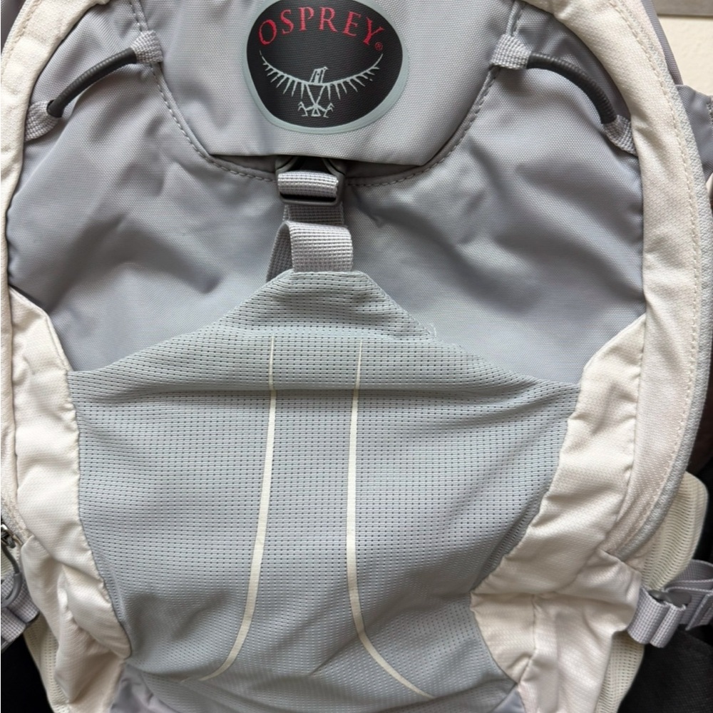 Osprey nova backpack